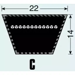 Fenner C316 Poly F Plus PB Classical Belt (Length 316 inch, Width 22 mm) image 2