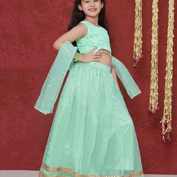 AJ Dezines Sleeveless Sequin Embellished  Lehenga Choli - Pista image 4