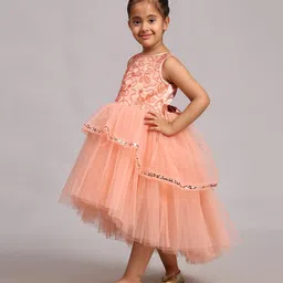 Toy Balloon Kids Net Sleeveless Sequins Embellished & Floral Embroidered High Low Dress - Dusty Rose image 4