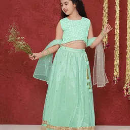 AJ Dezines Sleeveless Sequin Embellished  Lehenga Choli - Pista image 5