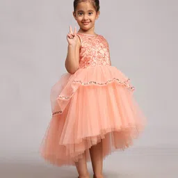 Toy Balloon Kids Net Sleeveless Sequins Embellished & Floral Embroidered High Low Dress - Dusty Rose image 5