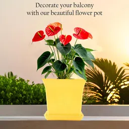 Kuber Industries 10-Pcs Green & Yellow Premium Flower Pots for Garden withBottomPlates image 5