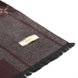 Cayman Geometric Self Design Frayed Scarf image 3