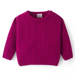 Doodle Poodle Knitted Full Sleeves Pullover Sweater with Cable Knit Design - Fuchsia Pink-picture-38