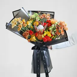 Amber Nightfall-image-70