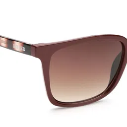 Killer Men Printed Square Sunglasses KL3036ASXWINE image 3