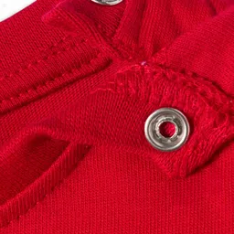 Babyhug 100% Cotton Knit Full Sleeves T-Shirts with Bear Print & Frill Detailing Pack of 2 - Red image 5