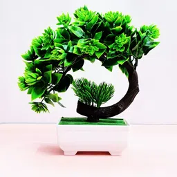 Dekorly Green Plastic Artificial Flowers & Plants With Pot-image-77