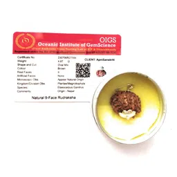 Apnisanskriti Unisex 9-Face Nepali Rudraksha Pure Silver Pendant-picture-26