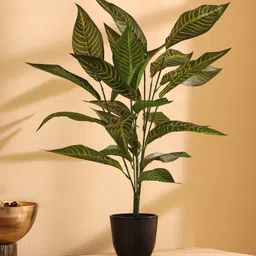 Elemntl Green Core image 5