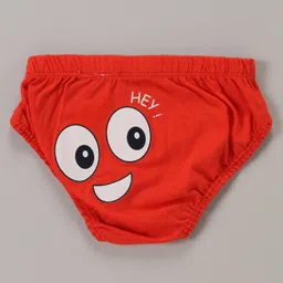 Babyoye 100% Cotton Knit With Antibacterial Finish Printed Briefs -  Multicolour image 4