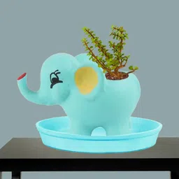 LASAKI Blue Ceramic Planter With Plate-picture-27