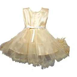 DRESS COLLECTION Embellished Georgette Fit & Flare Dress image 2