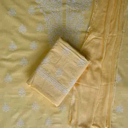 Seva Chikan Embroidered Unstitched Dress Material-picture-41