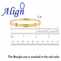 Align Set Of 2 Gold-Plated Chudas Bangles image 2