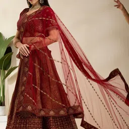 DESIGN ELEMENTS Embroidered Sequinned Velvet Semi-Stitched Lehenga & Blouse With Dupatta image 5