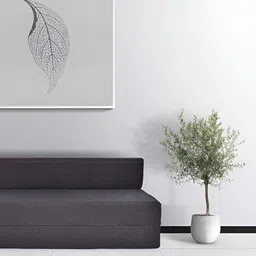 FRIENDS LIFE Grey 3 Seater Comfort Sofa Cum Bed-image-91