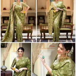 Aaishvyapparels Ethnic Motifs Zari Art Silk Handloom Banarasi Saree-picture-19