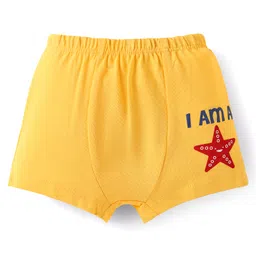 Doodle Poodle 100% Cotton Knit Text & Star Printed Trunks Pack of 3 - Red Yellow & Light Blue image 4