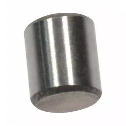 Dayton Roller for 3TP98G/3TP99G/3TR01G, 46G570 (Pack of 24)-picture-22