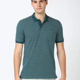 Peter England Men Striped Polo Collar Cotton T-shirt image 1