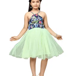 BAESD Floral Print Halter Neck Net A-Line Midi Dress image 1