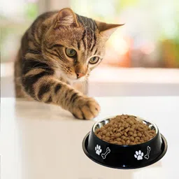 movson Set of 2 Cat Stainless Steel Printed Water/Food Bowl Stainless Steel Pet Bowl image 4