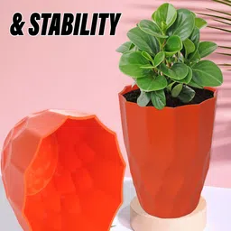 Kuber Industries Orange 6 Pieces Textured Flower Planters image 4