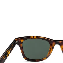 Vincent Chase by Lenskart Adults Wayfarer Sunglasses with Polarised and UV Protected Lens 128658 image 2