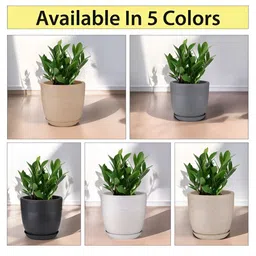 GARDEN'S NEED Jaguar Beige Textured Planters With Tray image 2