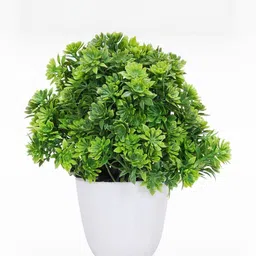 Dekorly Artificial Flowers & Plants With Pot image 5