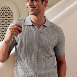 Andamen Men Textured Cotton Regular Fit Polo T-Shirt-picture-21