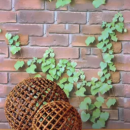 Asian royal Brown & Green Printed Self Adhesive Wall Sticker-image-50