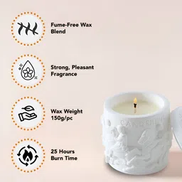 Ekhasa White Branch Magnolia Fragrance Scented Jar Candle image 5