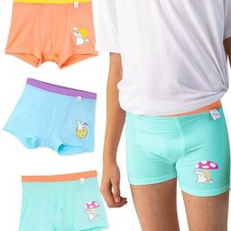 SuperBottoms Boys Pack Of 3 Printed Anti Bacterial Long Trunks UND-B-TR-NS-NM-SM-8-10Y-3P-picture-25