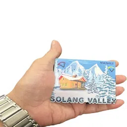 Numeroastro Wooden Multicolor Magnetic Sticker for Home & Fridge image 4