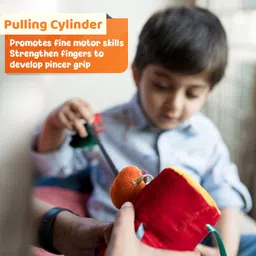 brainy bear Montessori Educational Toys– Brain & Skill Develop Activity for Kids 14 Months image 5