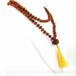 Divine souvenirs Brown Alloy Necklace image 1