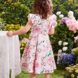 BAESD Floral Print Flutter Sleeve Fit & Flare Dress image 3