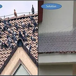 perfecthome Bird Spike image 3