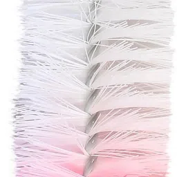 mast Long Handle Cleaning Brush for Jars, Bottles, Thermos, Flask - Size: Big&Small image 2