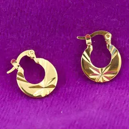 FIMBUL Gold-Plated Circular Hoop Earrings-picture-30