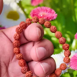 Apnisanskriti Unisex Rudraksha Bracelet-picture-33