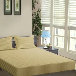 Trance Home Linen Brown Striped Pure Cotton 200 TC King Bedsheet Set-2.74 m x 2.74 m-image-92