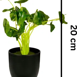 Dekorly Black Plastic Artificial Flowers & Plants With Pot image 3