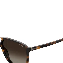 Polaroid Havana Unisex Square Sunglasses with Polarised Lens 20244408658LA image 2
