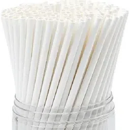 kuruppath group Straight Drinking Straw-picture-15