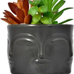 Myntra Elegant Homes Black & Green Succulent Artificial Plant With Pot image 2