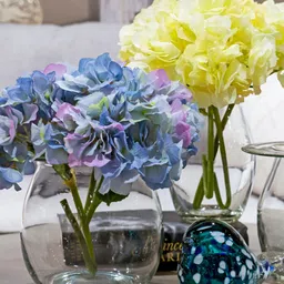 IAAH Transparent Modest Clear Decorative Glass Flower Vase image 4