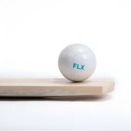 FLX By Decathlon Waterproof Smooth Cricket Ball image 5